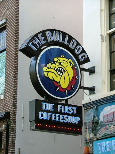 coffeshop bulldog
