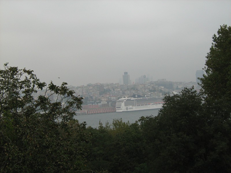 IMG_4519-vi.jpg